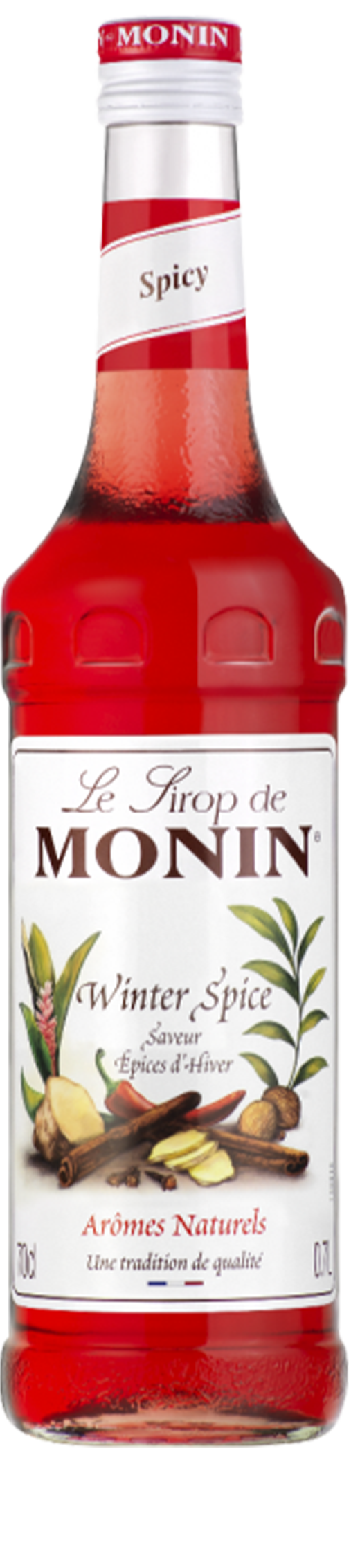Le Sirop de MONIN Winter spice 0.7L