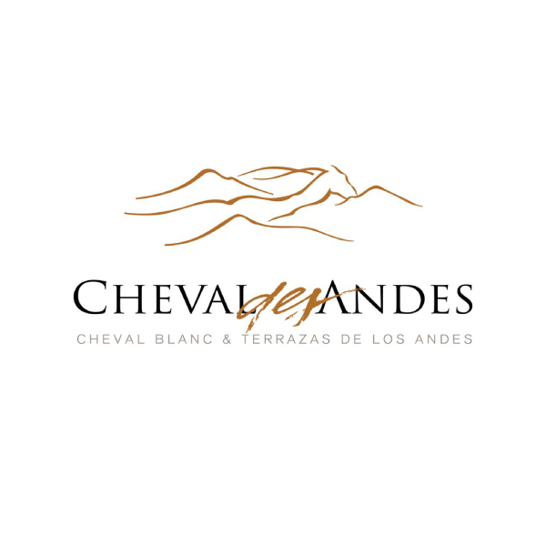Cheval Des Andes  